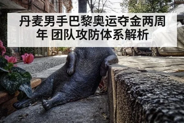 丹麦男手巴黎奥运夺金两周年 团队攻防体系解析